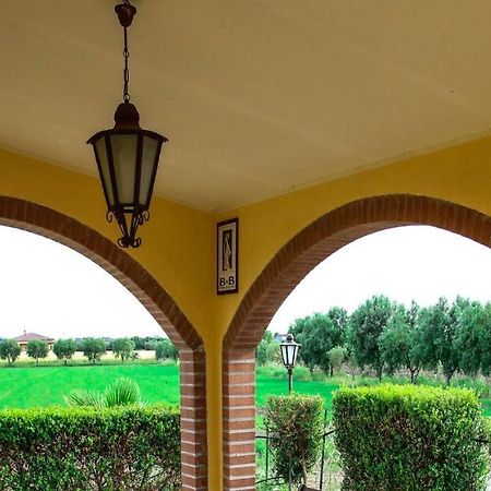 Bucchi Terradamare B&B 외부 사진